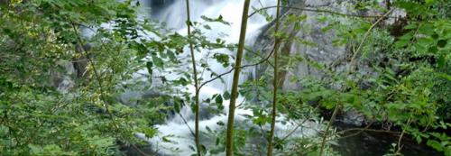 Victime d'une maladie nosocomiale 